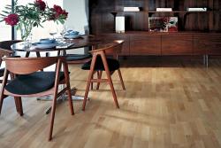 JAVOR KANADSK� TORONTO   